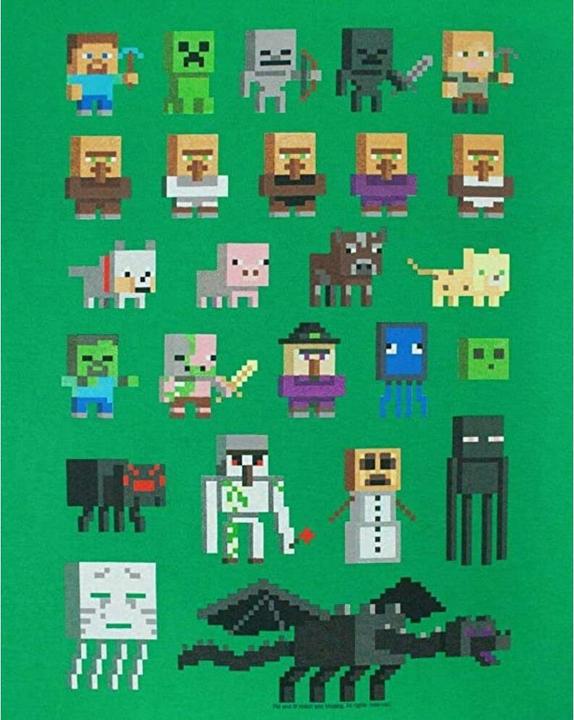 Immagine prodotto Minecraft Tshirt Sprites Ragazzi (158, 164)