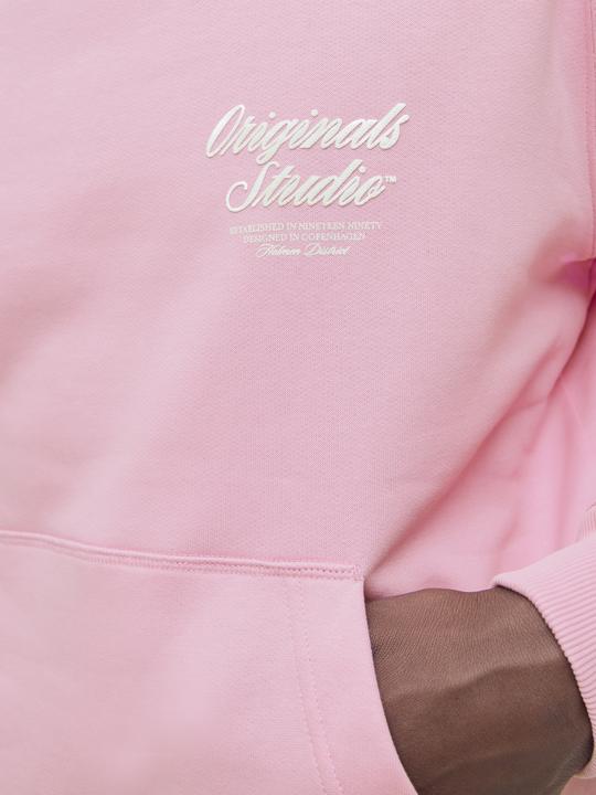 Actual product image Jack & Jones Kapuzenpullover Kapuzenpullover (XS)