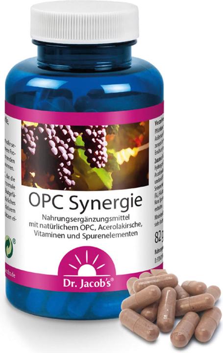Produktbild Dr. Jacob's OPC Synergie Gélules (120 Stück, Kapseln, 500 g)
