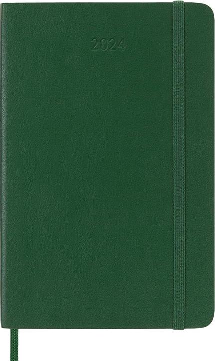Actual product image Moleskine 12M Daily L Planner (21 x 13 cm)