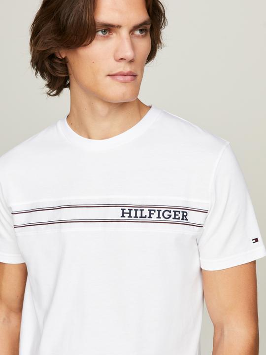 Actual product image Tommy Hilfiger T-shirt for men (L)