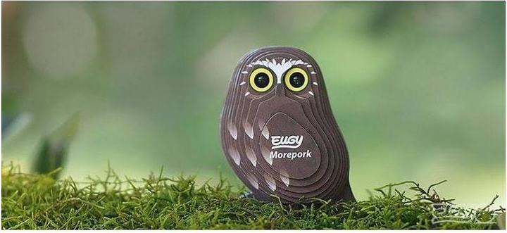 Image du produit Eugy Hibou