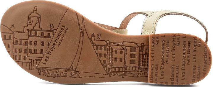 Actual product image LES Hamatrio (37)