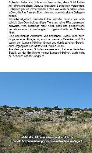 Produktbild Landschildkröten-Futterpflanzen (Deutsch, Ricarda Schramm, 2017)