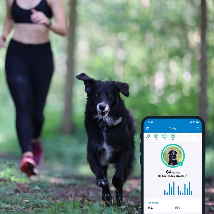Immagine prodotto Tractive Dog 4 GPS Tracker per cani (Cane, Generale)