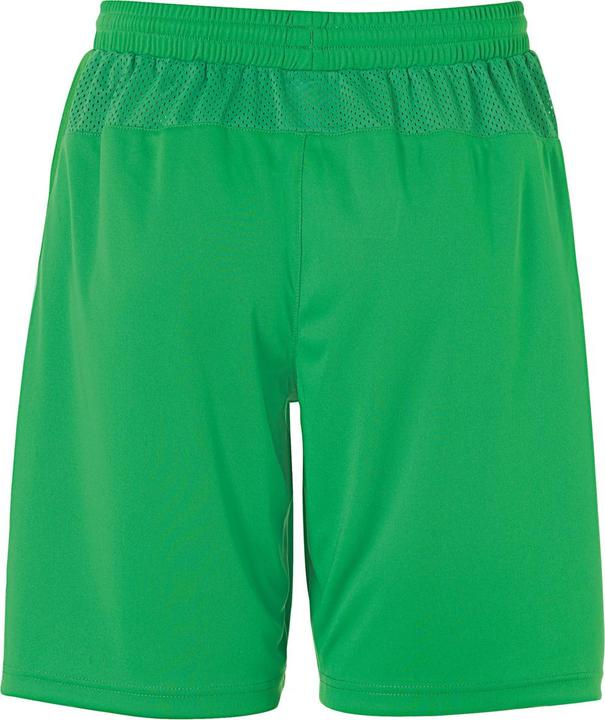 Actual product image Uhlsport Performance Shorts (L)