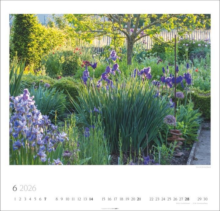 Produktbild Bauerngärten Kalender 2026 (48 x 46 cm, Englisch, Deutsch)
