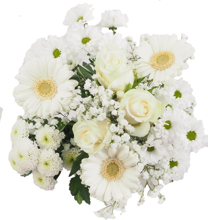 Bianco