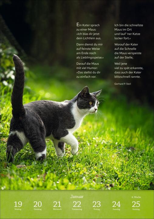 Actual product image Harenberg Literaturkalender Katzen Wochen-Kulturkalender 2026 (German)