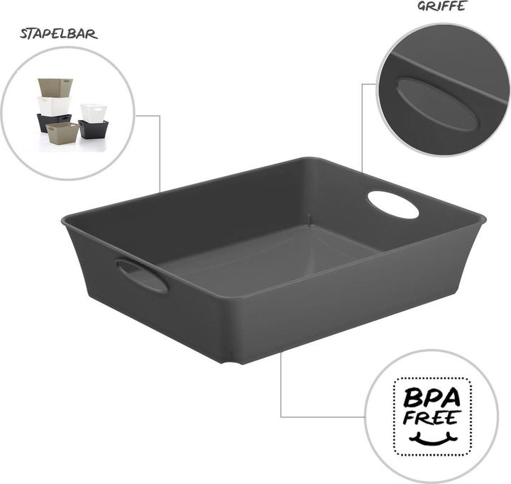 Immagine prodotto Rotho Scatola vivente (21,5 x 6 x 21,5 cm, 0 l)