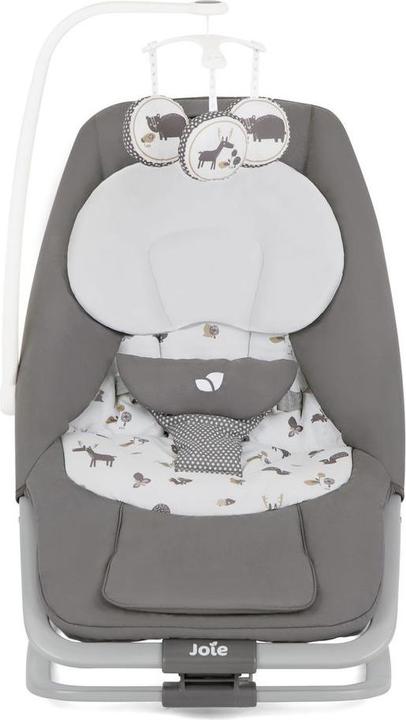 Actual product image Joie dreamer