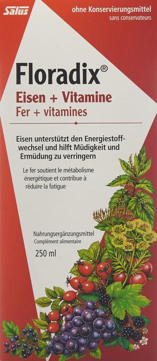 Image du produit Floradix Vitamines et Fer organique (1 pièce(s), Liquide, 614 g)