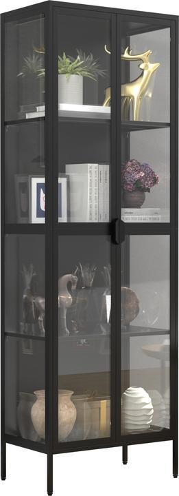 Immagine prodotto VCM Vetrina in acciaio Floka XXL (60 x 35 x 180 cm)