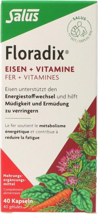 Actual product image Salus Iron + vitamins (1 Piece, Capsules, 73 g)