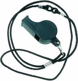Actual product image IH Coach Whistle Fox Pearl