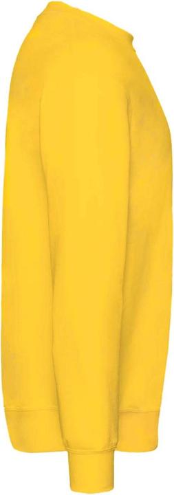Image du produit Fruit of the Loom UTRW6860 P (98)