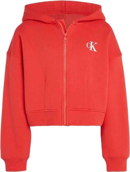 Immagine prodotto Calvin Klein Felpa con Cappuccio e Zip Intera Logo Bambini (164)