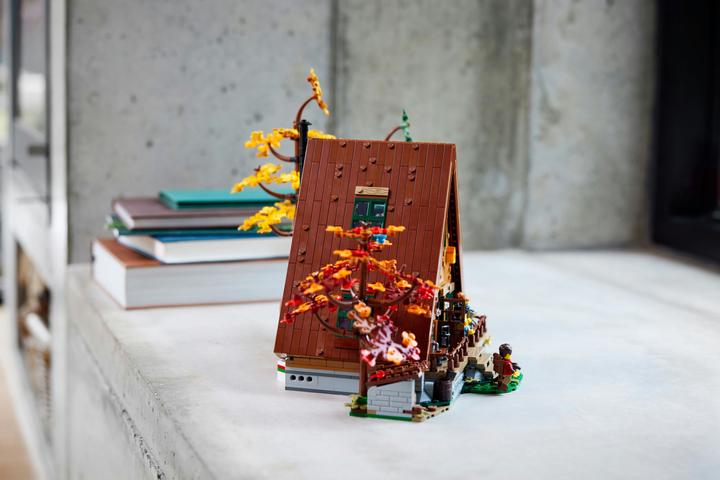 Actual product image LEGO Ideas Finn Cottage 21338 (21338, LEGO Ideas, LEGO Rare Sets)