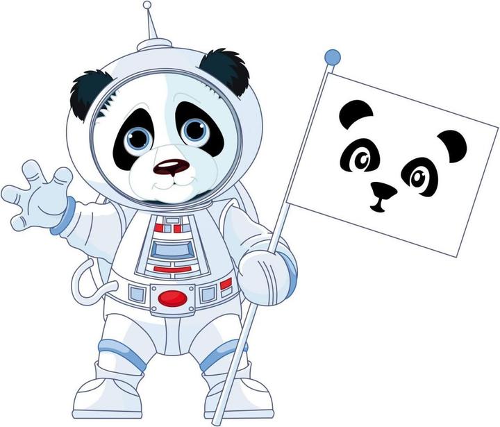 Produktbild Trenddeko Panda im All (47 x 40 cm)