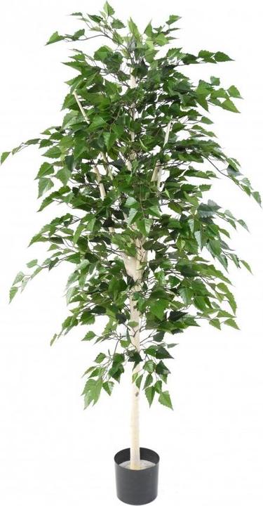 Produktbild Greendeco Künstlicher Birkenbaum, ca. 180cm (180 cm)