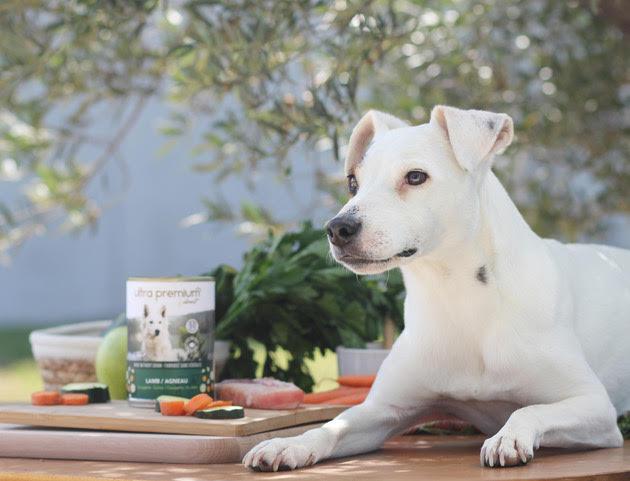 Image du produit Ultra Premium Direct Wet Food - Agneau (Adulte, 12 pcs, 4800 g)