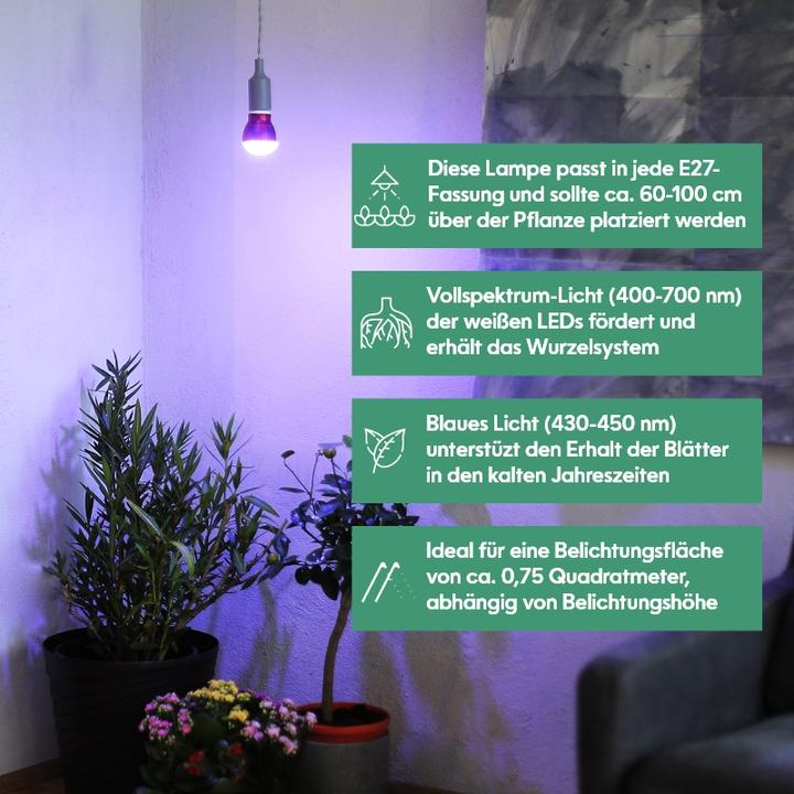 Immagine prodotto Venso Cresce l'inverno leggero (LED, 245 V)
