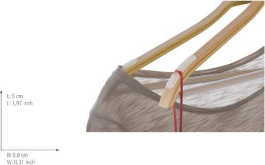 Actual product image Wenko Anti-slip strips (20 x)