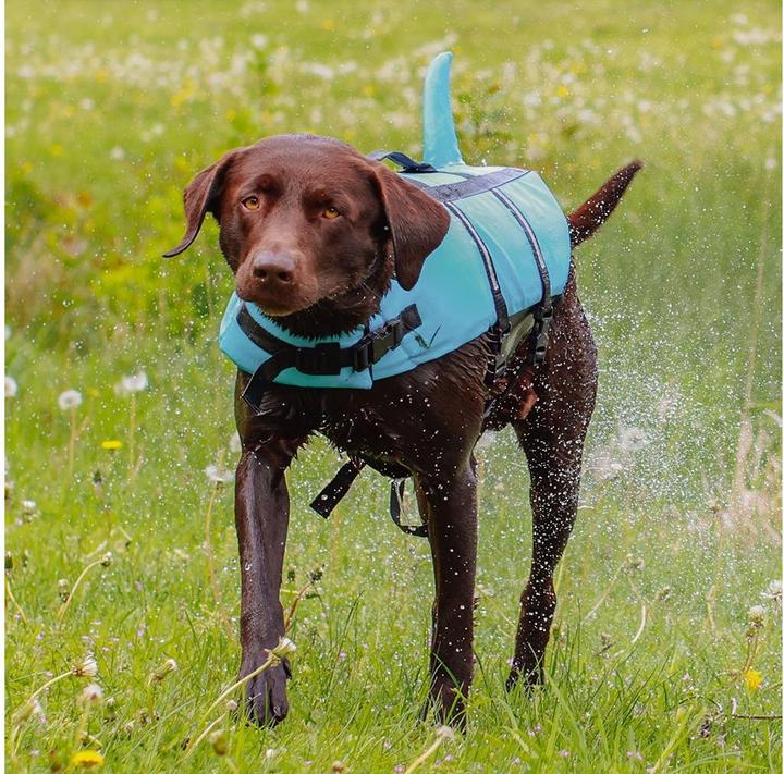 Image du produit Nobby Sharki (XS, Gilet pour chien)
