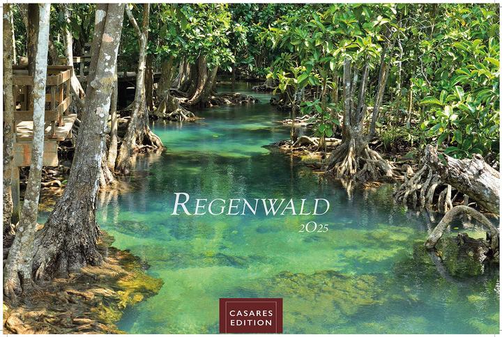 Produktbild Regenwald 2025 S 24x35cm (24 x 35 cm, Deutsch)