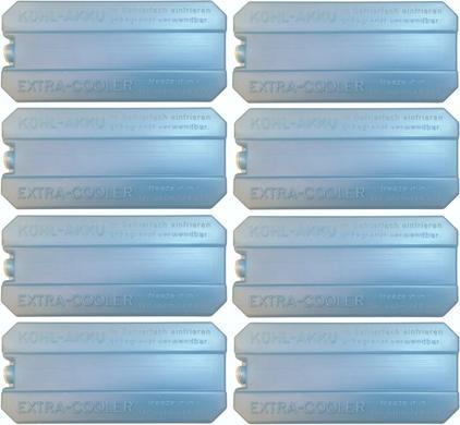 Actual product image APS Cold pack, set of 4