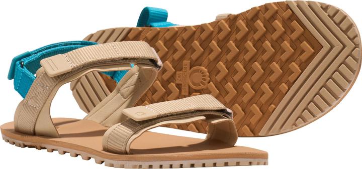 Actual product image Xero Shoes D-Trail (40.5)