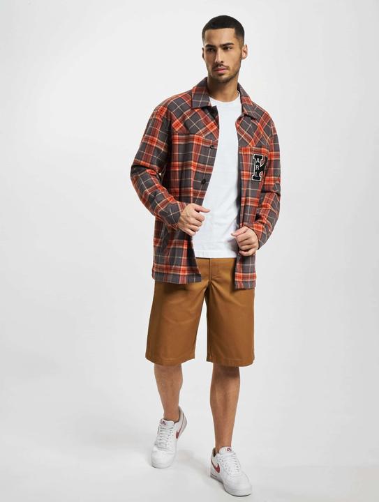 Actual product image Dickies The 13 Inch Multi Pocket short (33)