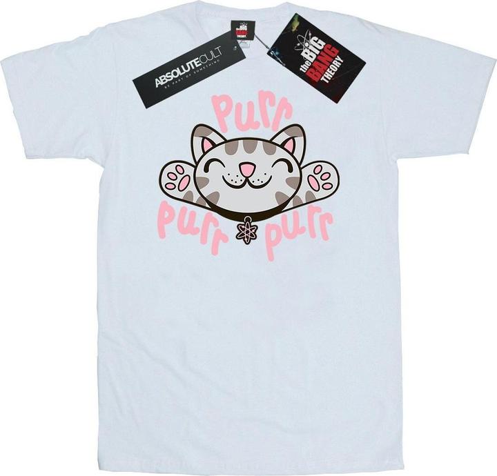 Big Bang Theory Soft Kitty Purr TShirt (XL)