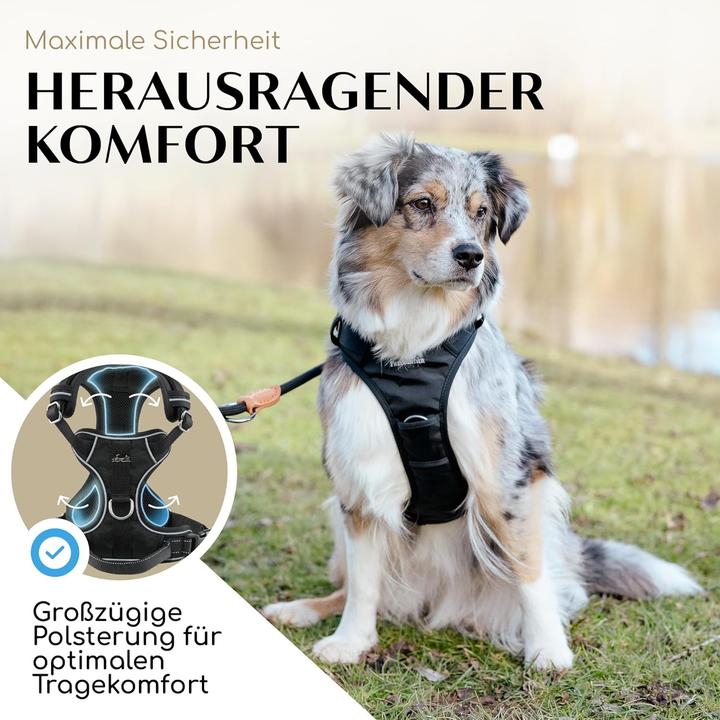Produktbild Freudentier Hundegeschirr (S, Hund, Allgemein, Spazieren, Jogging, Hundesport)