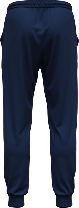Actual product image Errea training trouer france denali 2024/25 (S)