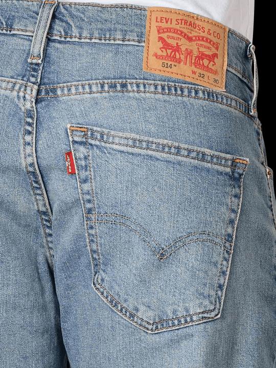 Actual product image Levis 10018278 (W42/L30)