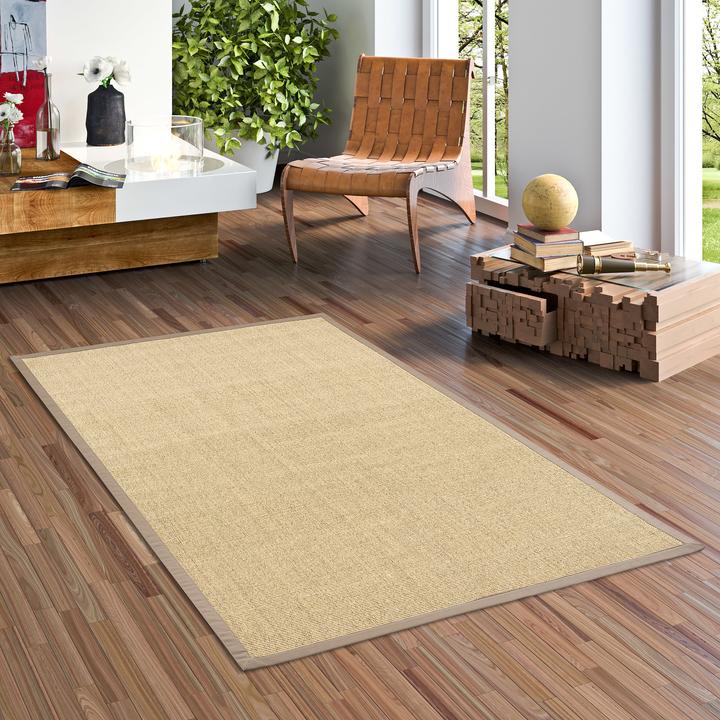 Actual product image Pergamon Sisal carpet Natura Classic with border (120 x 170 cm)