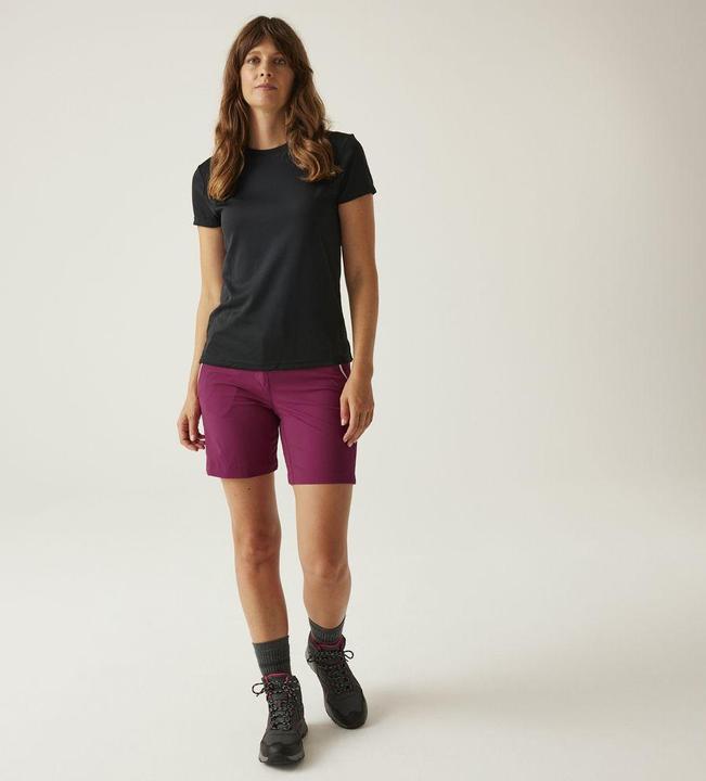 Actual product image Regatta Mountain Shorts II (S)