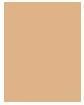Produktbild Sensai Cellular Performance Cream Foundation (CF22 NATURAL BEIGE)