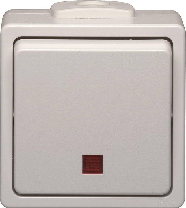 N&L Elektrotechnik N & L 28383 Kontrollschalter Komplett Aufputz Hellgrau