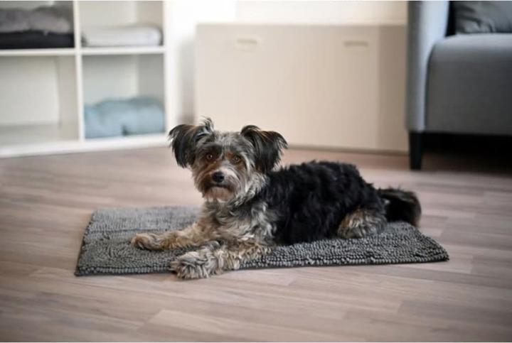 Image du produit Kerbl Superbed (Chien)