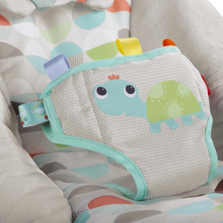 Actual product image Bright Starts Happy safari turtle
