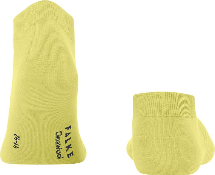 Actual product image Falke ClimaWool Herren (43 - 44)