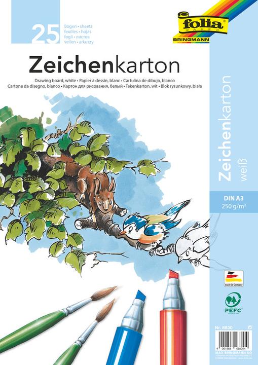 Produktbild Folia Zeichenkarton (250 g/m², 1 x)