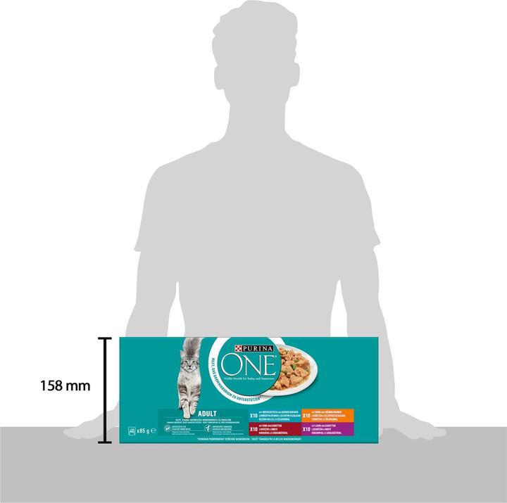 Image du produit Purina ONE Adulte (Adulte, 40 pcs, 3800 g)