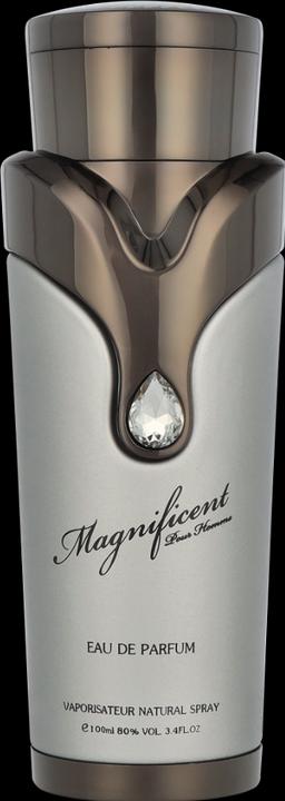 Actual product image Armaf Magnificent by Eau de Parfum Spray 100 ml (Eau de parfum, 100 ml)