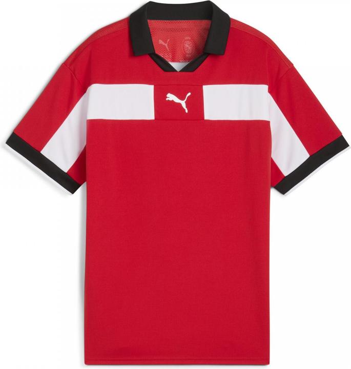 Actual product image Puma teamCLASSIC Match Jersey Jr (128)