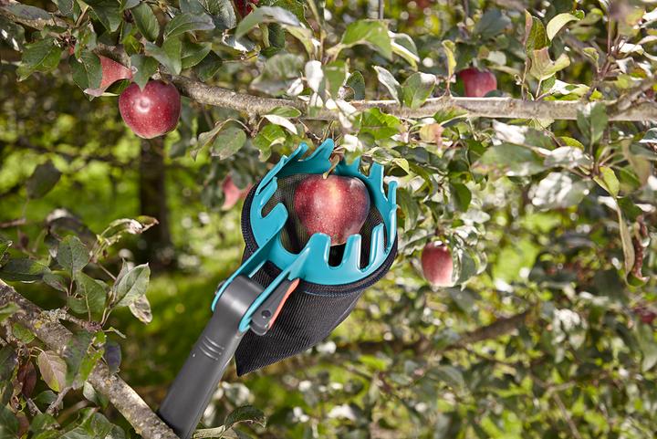 Image du produit Gardena Cueilleuse de fruits Combisystem
