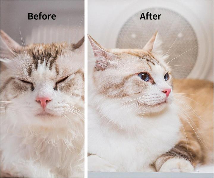 Immagine prodotto Petkit Airsalon Max (Cane, Gatto, 60000 ml)