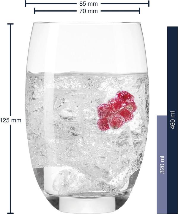 Actual product image Leonardo Cheers (0.46 l, 6 x)